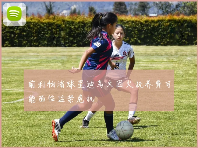 前利物浦球星迪乌夫因欠抚养费可能面临监禁危机