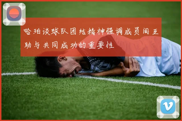 哈珀谈球队团结精神强调成员间互助与共同成功的重要性