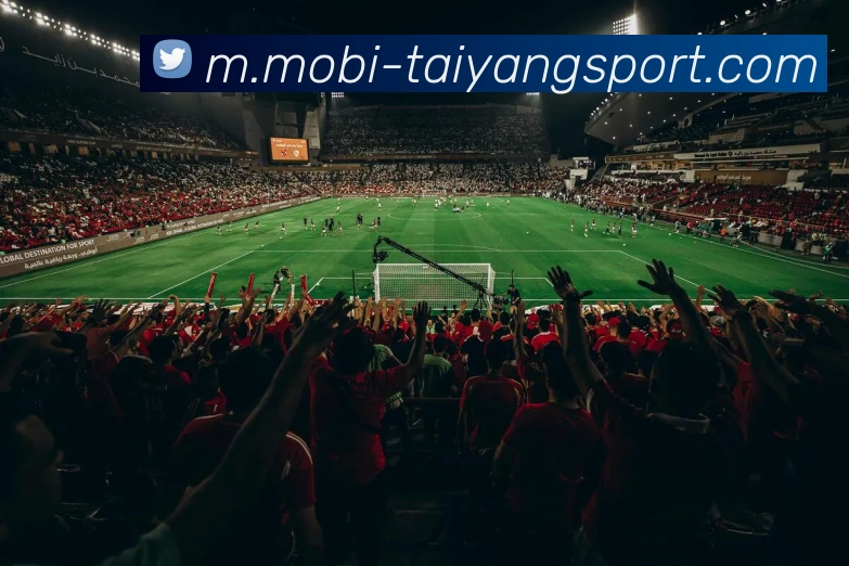 太阳城发展历程